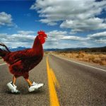 WHY DID THE CHICKEN CROSS THE ROAD?